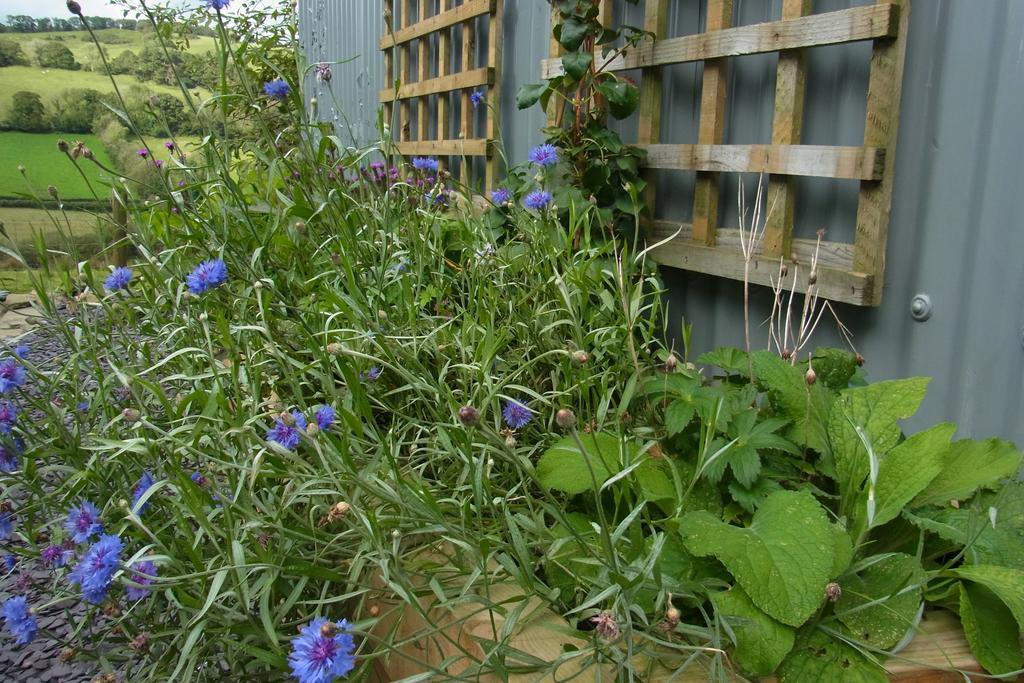 Rhiwiau Self Catering Βίλα Καρμάρθεν Εξωτερικό φωτογραφία